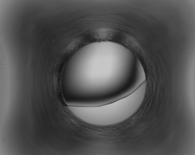 X0000086730416200704130750
