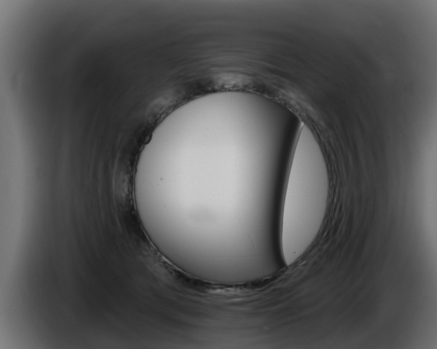 X0000086730417200704130750