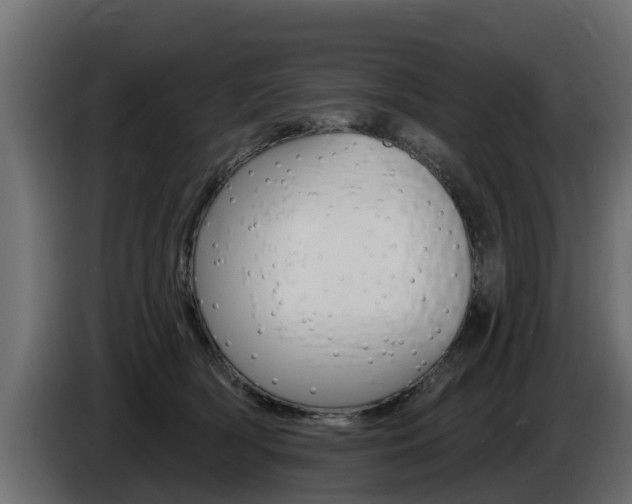 X0000086730418200704130750