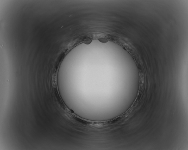 X0000086730419200704130750