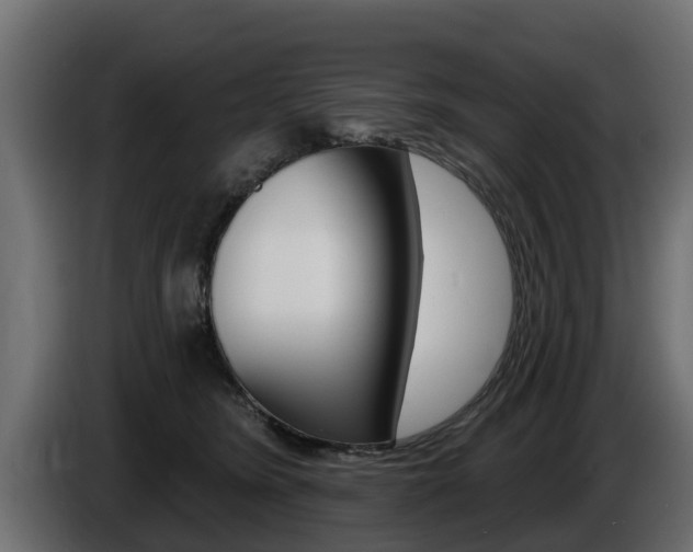 X0000086730420200704130750