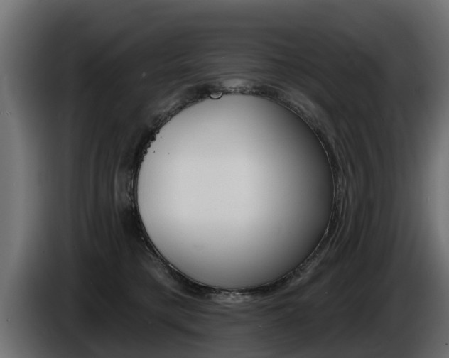 X0000086730421200704130750
