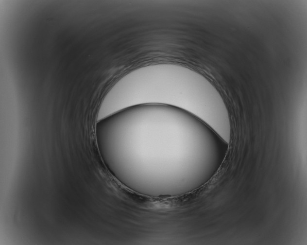 X0000086730423200704130750