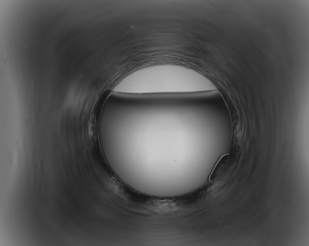 X0000086730424200704130750