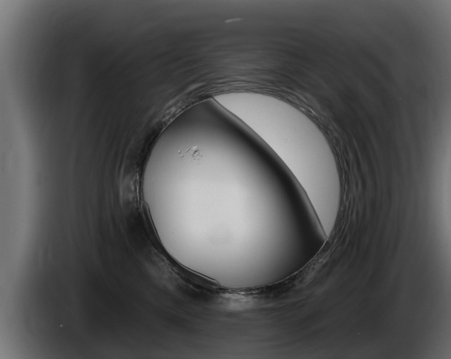 X0000086730425200704130750