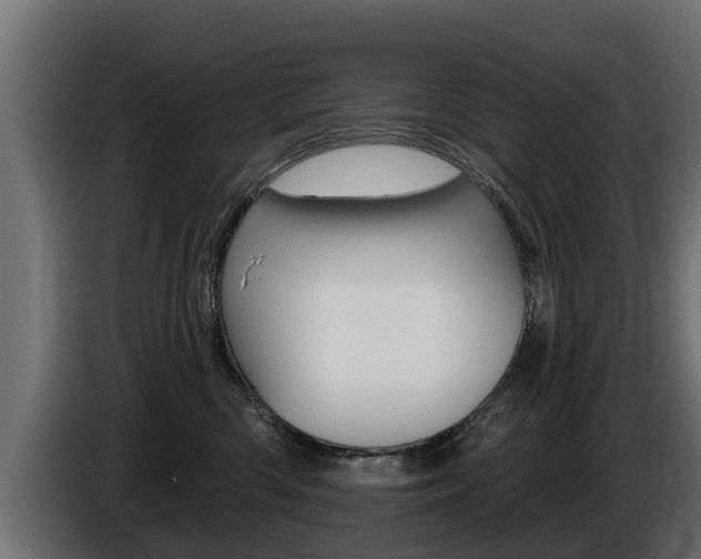 X0000086730426200704130750
