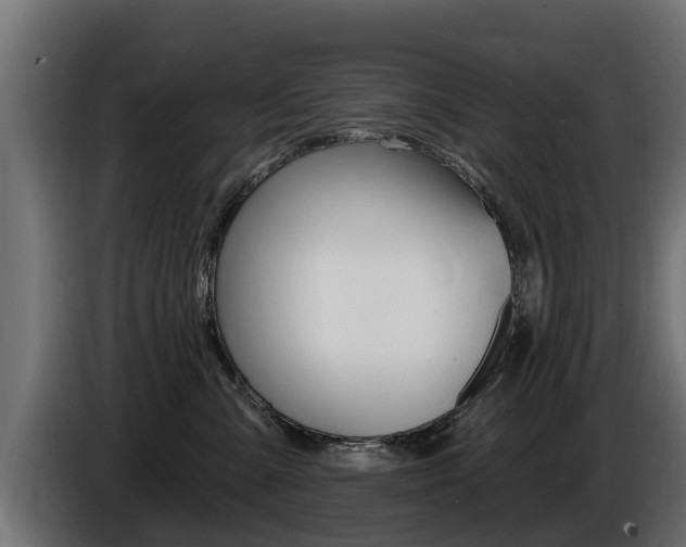 X0000086730427200704130750