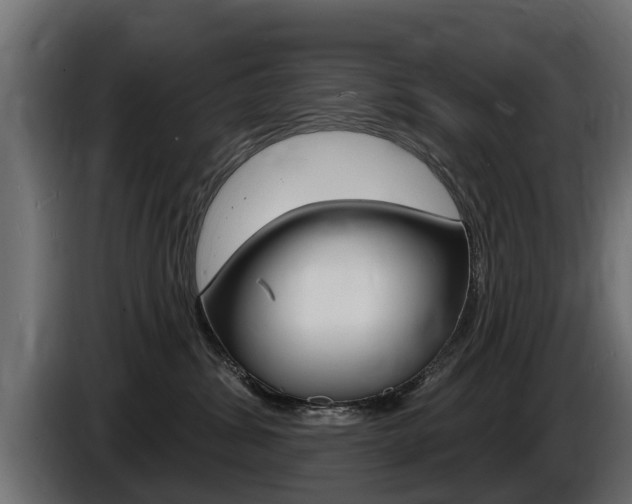 X0000086730428200704130750