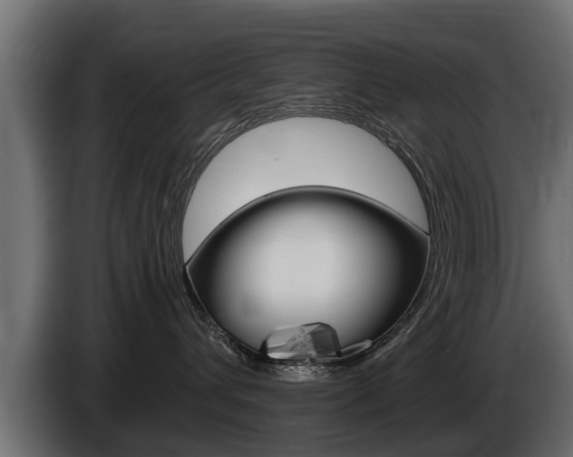 X0000086730432200704130750