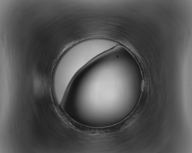 X0000086730434200704130749