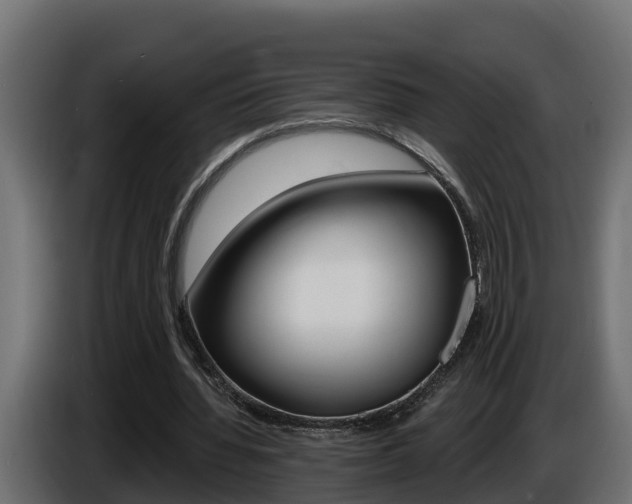 X0000086730436200704130749