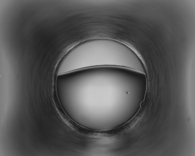 X0000086730437200704130749