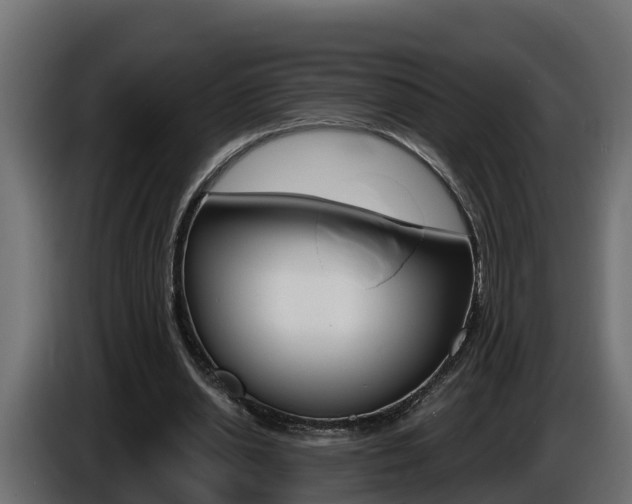 X0000086730438200704130749