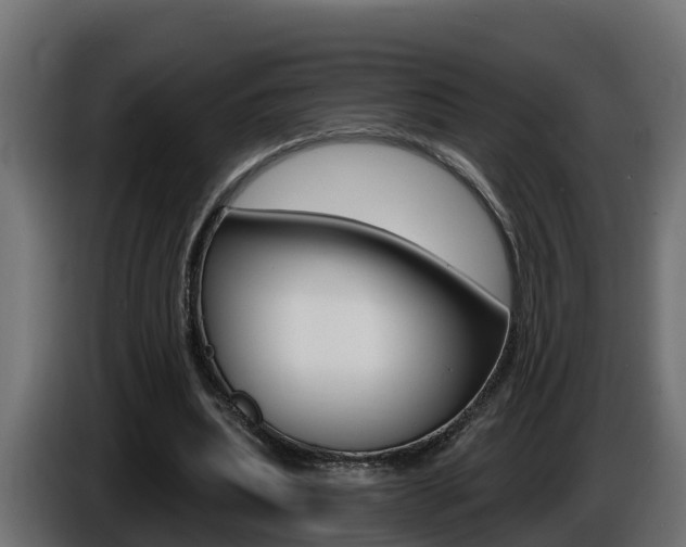 X0000086730439200704130749