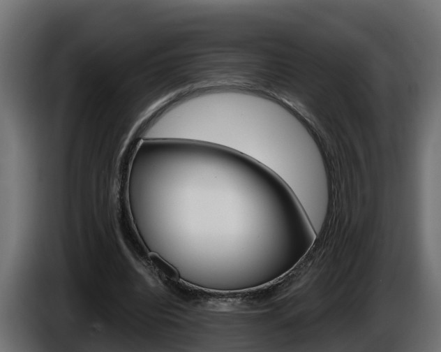 X0000086730440200704130749