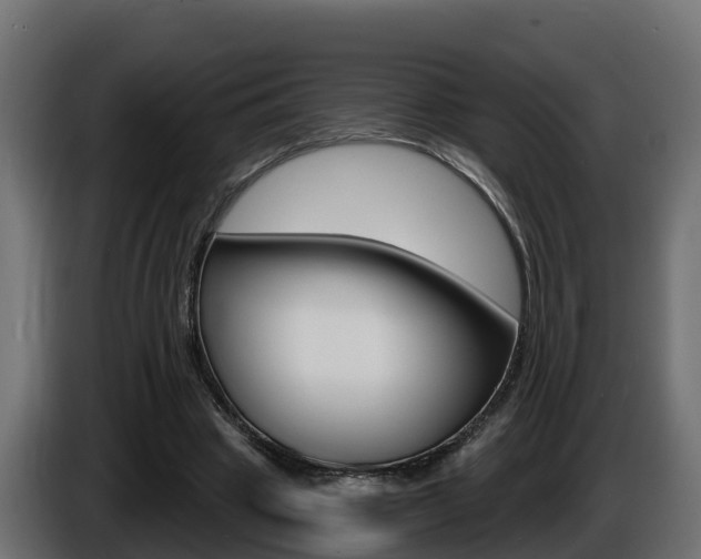 X0000086730441200704130749