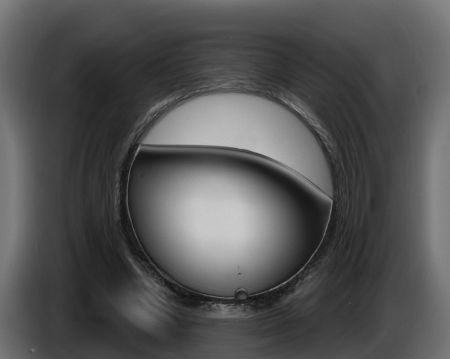 X0000086730442200704130749