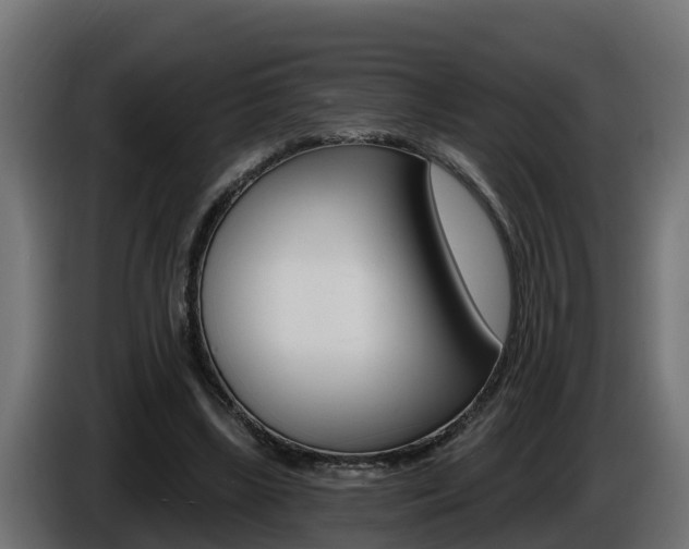 X0000086730443200704130749