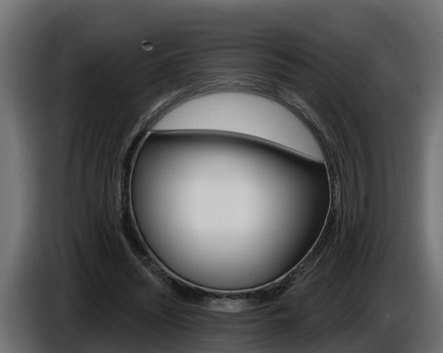 X0000086730444200704130749