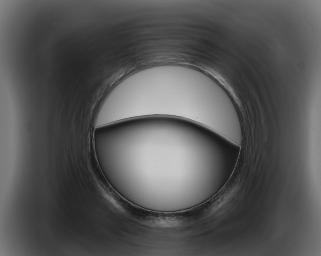 X0000086730445200704130749