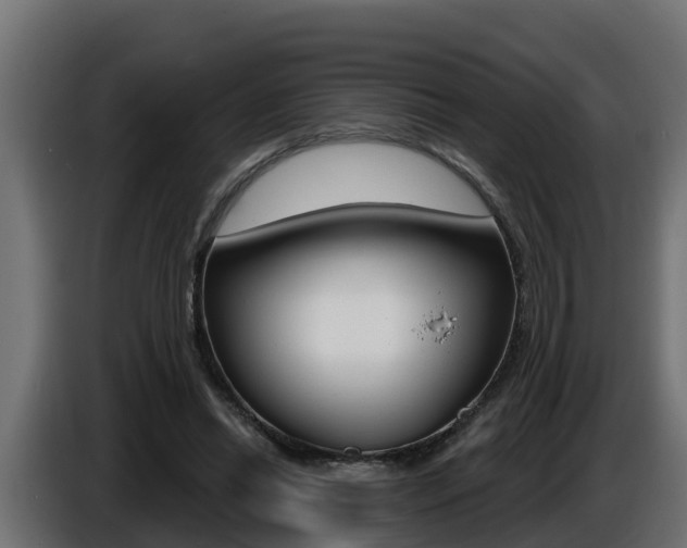 X0000086730446200704130749