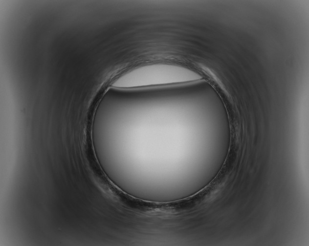 X0000086730447200704130749