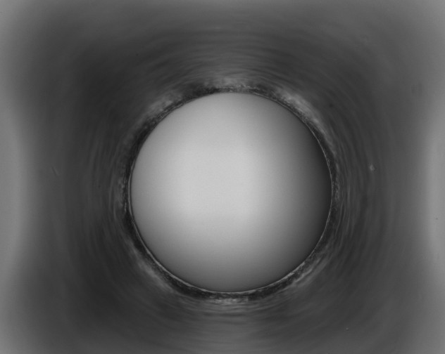X0000086730449200704130749