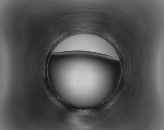 X0000086730450200704130749