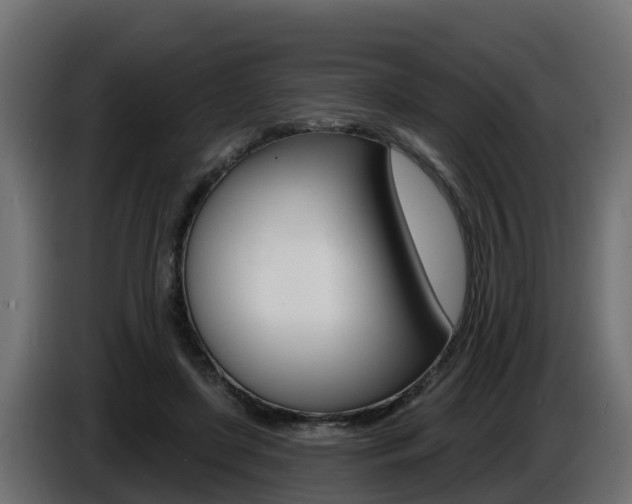 X0000086730451200704130749