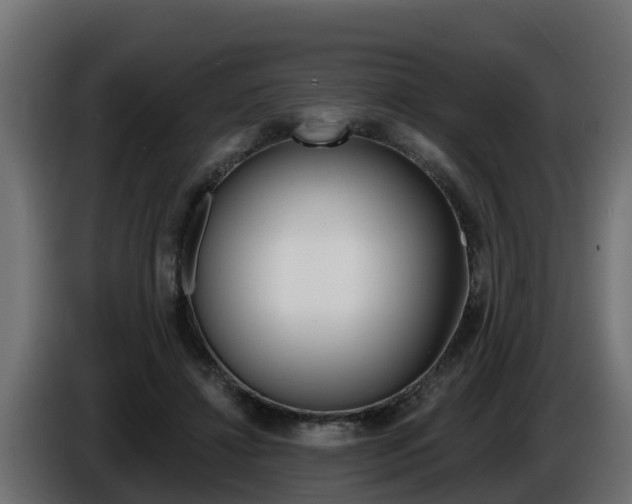 X0000086730452200704130749