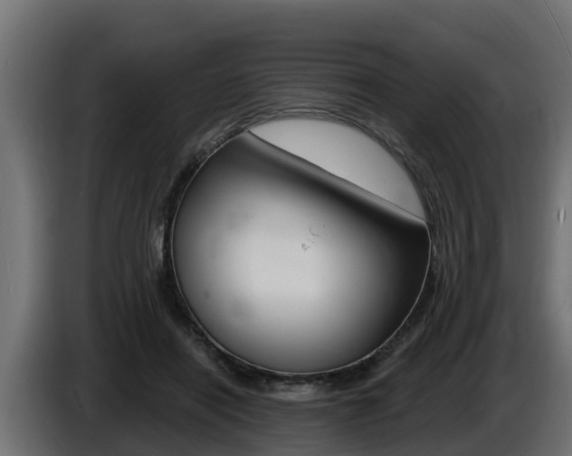 X0000086730454200704130749