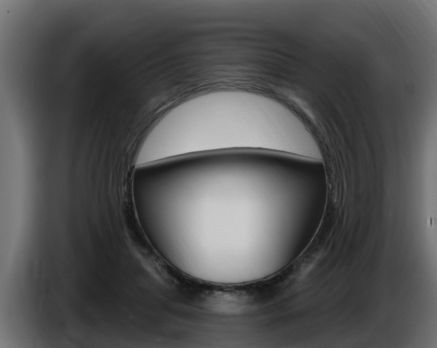 X0000086730455200704130749
