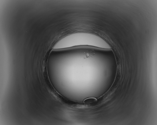 X0000086730458200704130749