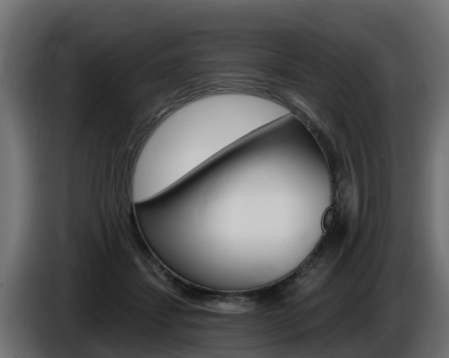X0000086730459200704130749