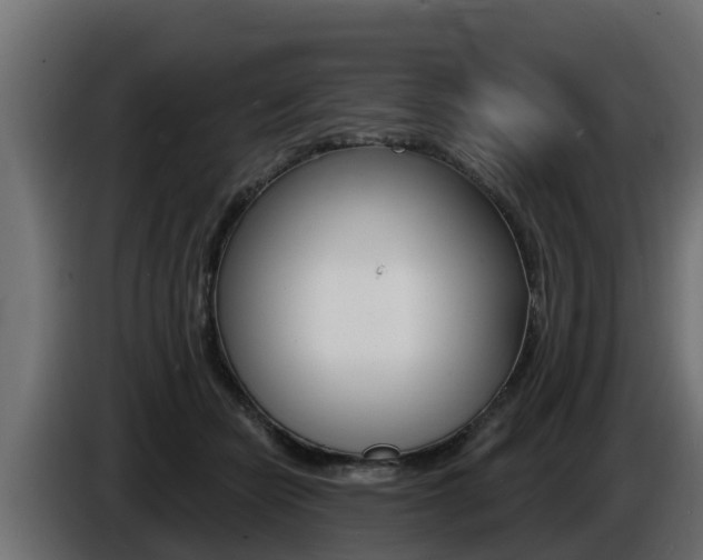 X0000086730462200704130749