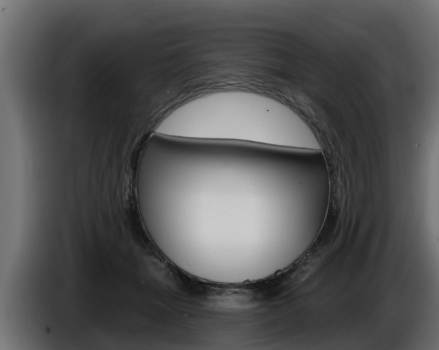 X0000086730463200704130749
