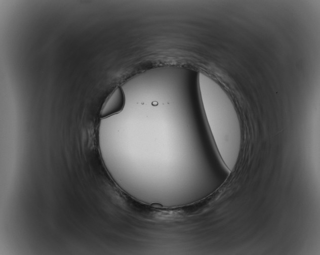 X0000086730465200704130749