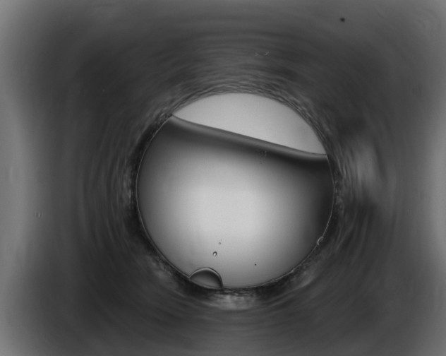 X0000086730466200704130749