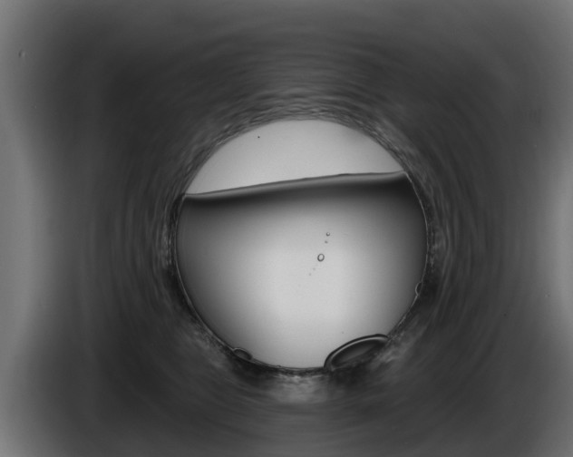 X0000086730469200704130750