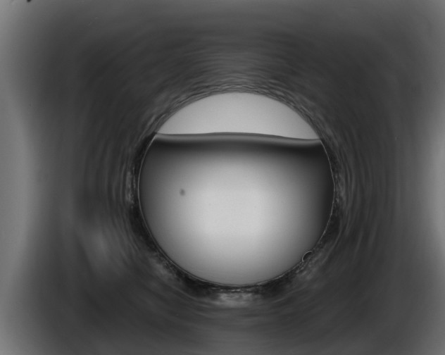 X0000086730470200704130750