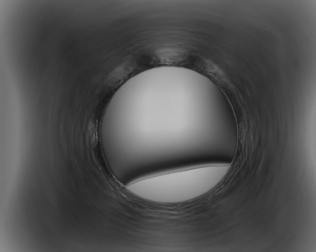 X0000086730471200704130750