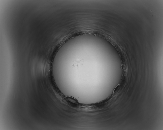 X0000086730472200704130750