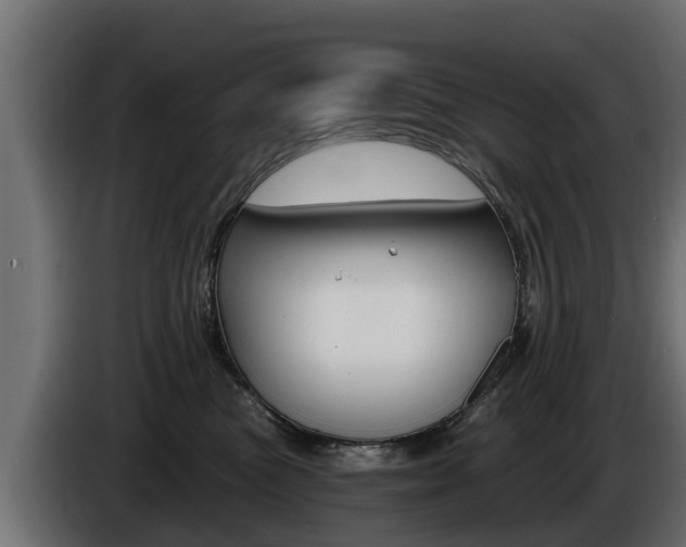 X0000086730473200704130750