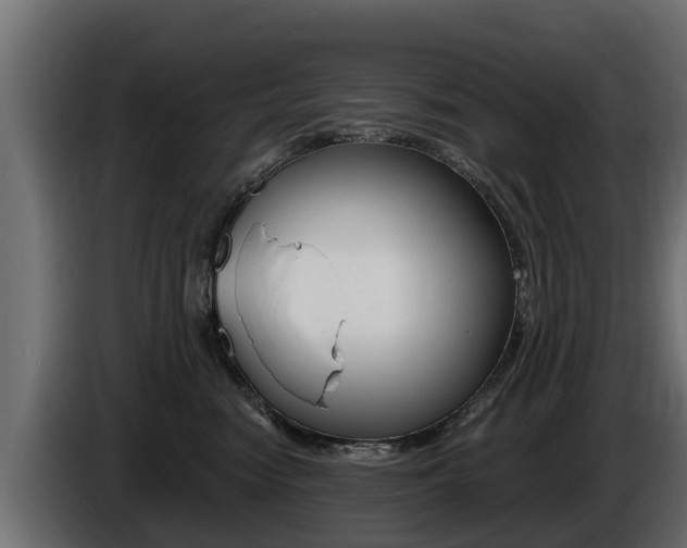X0000086730474200704130750