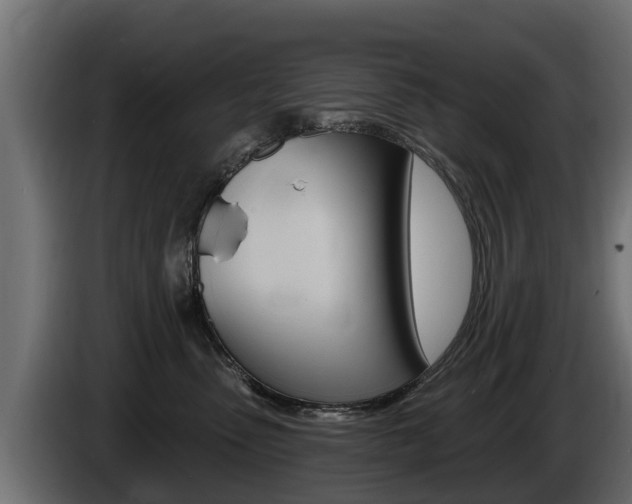 X0000086730475200704130750