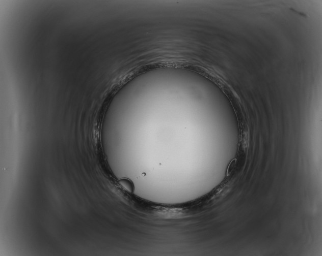 X0000086730476200704130750