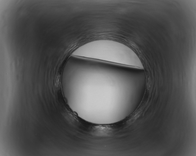 X0000086730477200704130750