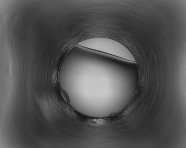 X0000086730478200704130750