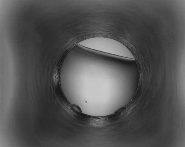 X0000086730479200704130750