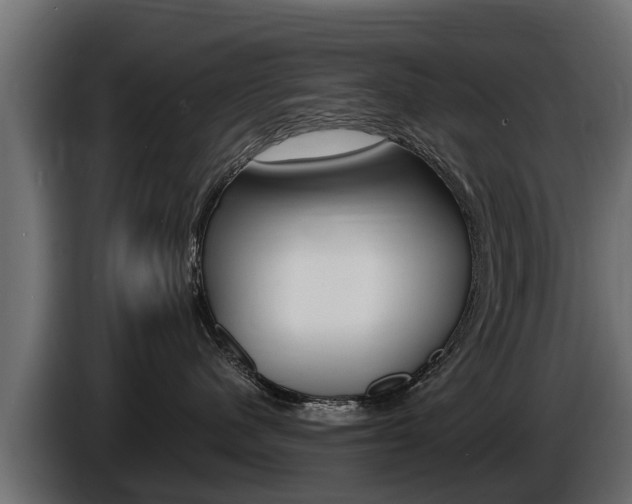 X0000086730480200704130750